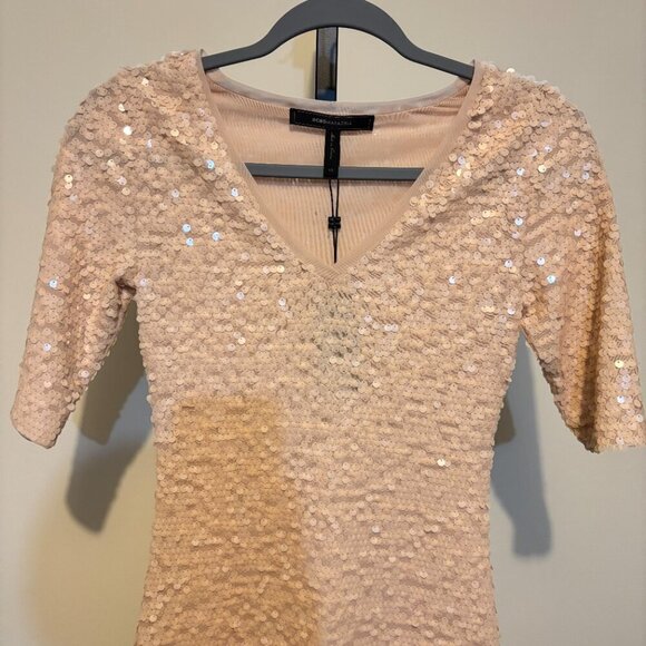 BCBGMaxAzria Maura Rose Sequin Dress - Picture 5 of 9